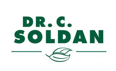 Soldan