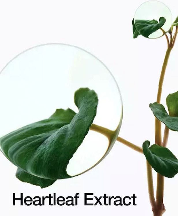 Anua Heartleaf Pore Control Cleansing Oil 200ml