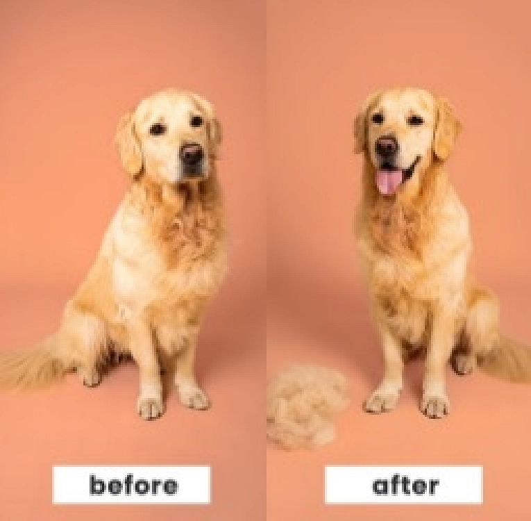 Pet Teezer De-Shedding Dog Grooming Brush Small Βούρτσα για Σκύλους, 1τεμ