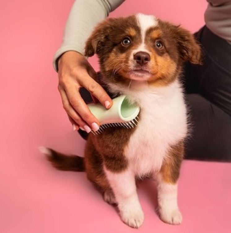 Pet Teezer Puppy Brush One Size Βούρτσα για Κουτάβια, 1τεμ