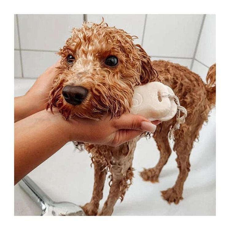 Foamie You Look Furbulous Dog Shampoo for Long Fur Στέρεο Σαμπουάν για Σκύλους με Μακρύ Τρίχωμα, 110gr