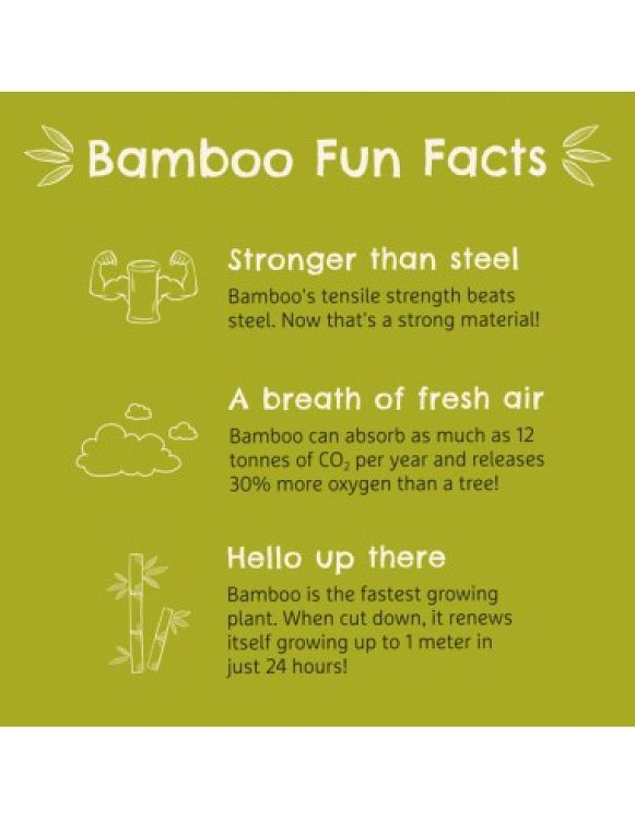 Bambou divided plate