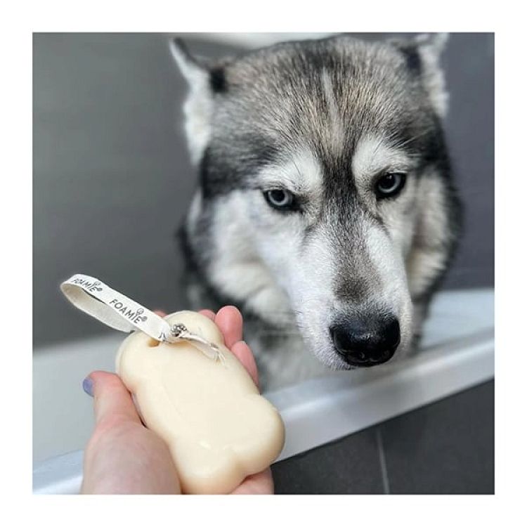 Foamie You Look Furbulous Dog Shampoo for Short Fur Στέρεο Σαμπουάν για Σκύλους με Κοντό Τρίχωμα, 110gr