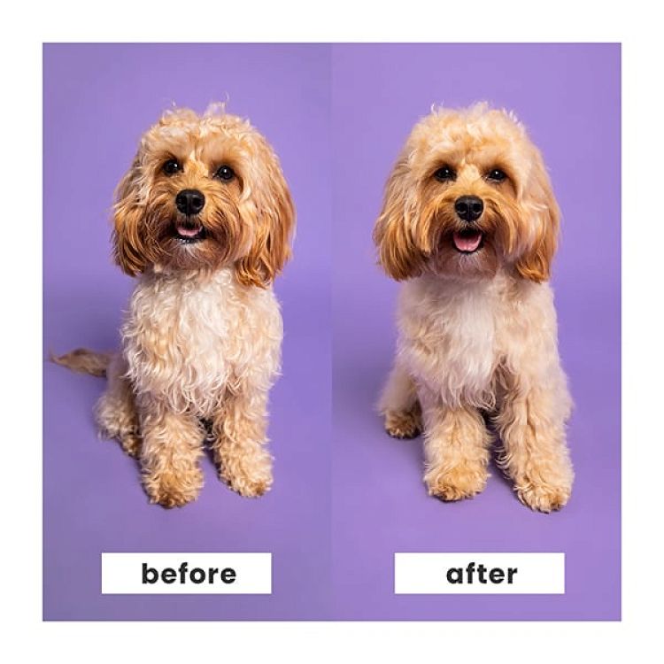 Pet Teezer Detangling & Dog Grooming Brush Medium-Large Βούρτσα για Σκυλιά, 1τεμ