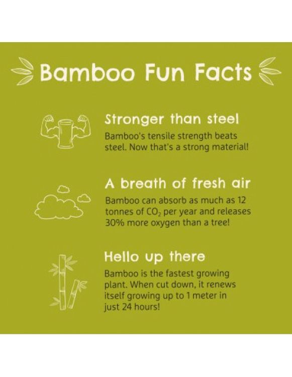 Bambou Cup