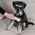 Pet Teezer Detangling & Dog Grooming Brush Small Βούρτσα για Σκυλιά, 1τεμ