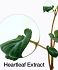Anua Heartleaf Pore Control Cleansing Oil 200ml