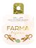 Farma Bijoux Υποαλλεργικά Σκουλαρίκια Χρυσό Ερπετό με Κρύσταλλα