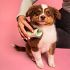 Pet Teezer Puppy Brush One Size Βούρτσα για Κουτάβια, 1τεμ