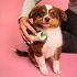 Pet Teezer Puppy Brush One Size Βούρτσα για Κουτάβια, 1τεμ