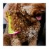 Pet Teezer Detangling & Dog Grooming Brush Medium-Large Βούρτσα για Σκυλιά, 1τεμ