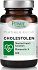 Power Of Nature Platinum Range Cholestolen Ειδικό Συμπλήρωμα Διατροφής 40 κάψουλες